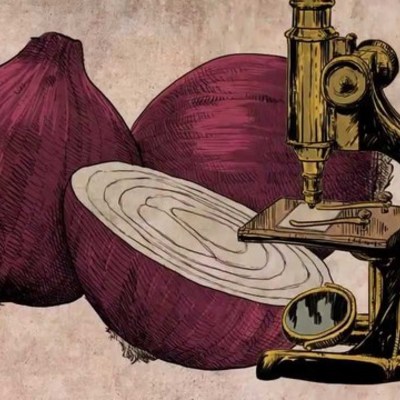 Timeline: Desarrollo de la teoría celular