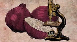 Timeline: Desarrollo de la teoría celular