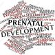 16720261 abstract word cloud for prenatal development with related tags and terms stock photo