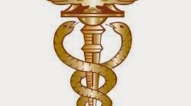 Timeline: Evolução Histórica da Contabilidade X Perícia Contábil