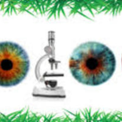 Timeline: Redemption assignment