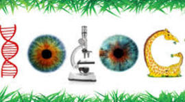 Timeline: Redemption assignment