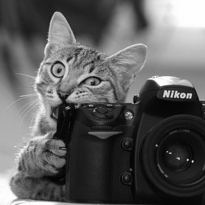 Timeline: HISTORIA DE LA FOTOGRAFIA