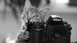 Timeline: HISTORIA DE LA FOTOGRAFIA