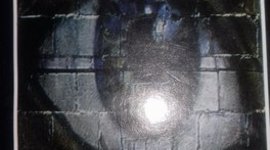 Timeline: leer libros