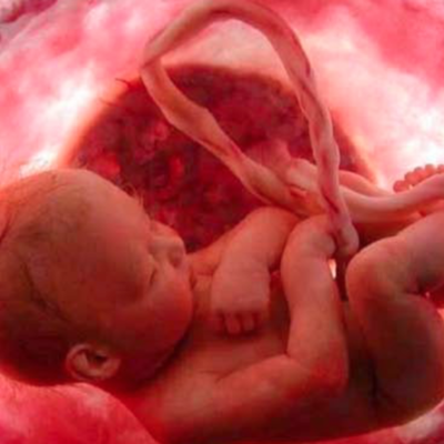 Timeline: "Life's Greatest Miracle" Timeline