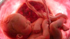 Timeline: "Life's Greatest Miracle" Timeline