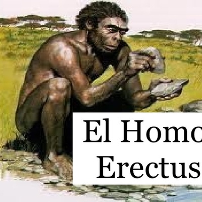 Timeline: la evolucion del hombre