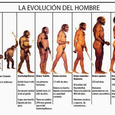 Timeline: La evolución del hombre