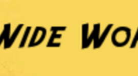 Timeline: Wide, Wide World of Web 2.0 Workshop Series