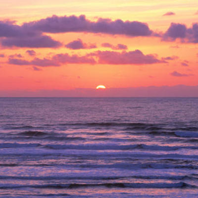 Timeline: personal digital timeline