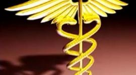 Timeline: História da Contabilidade X Perícia contábil