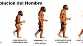 Timeline: LA EVOLUCION DEL HOMBRE