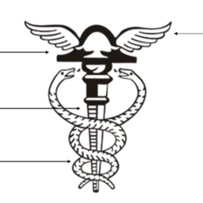 Timeline: A Evolução Histórica da Contabilidade x da Perícia Contábil