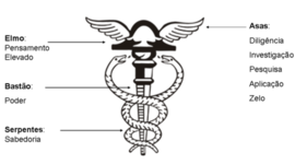 Timeline: A Evolução Histórica da Contabilidade x da Perícia Contábil