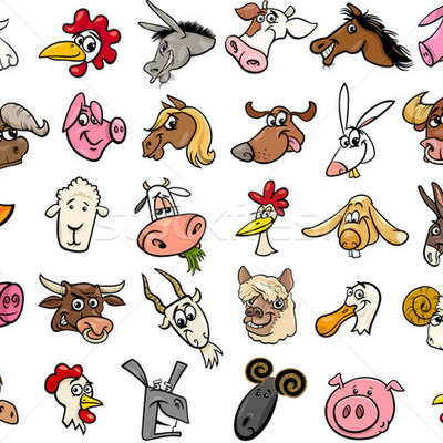 Timeline: Állatok mérete - Animaux de taille