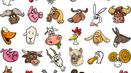 Timeline: Állatok mérete - Animaux de taille