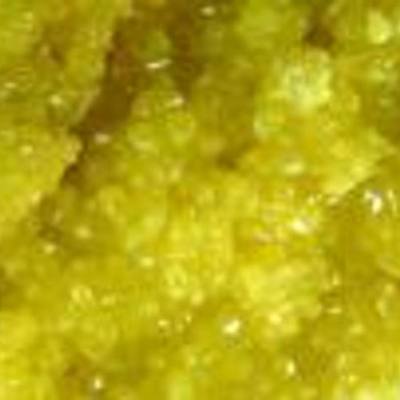 Timeline: Mia's Timeline