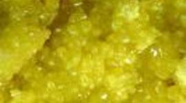 Timeline: Mia's Timeline