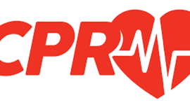 Timeline: 8.3 Learning Assessment