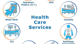 Timeline: Unit 8 Application