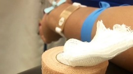 Timeline: Jojo's Journey