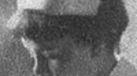 Timeline: WWI-Clara Wilhelmina Emily Lewandoske Hoke