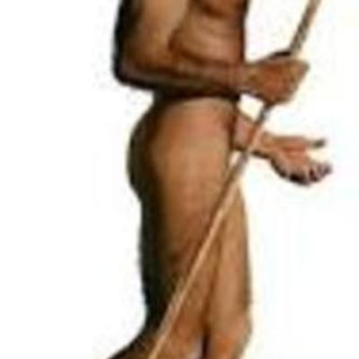 Timeline: la evolución del ser humano