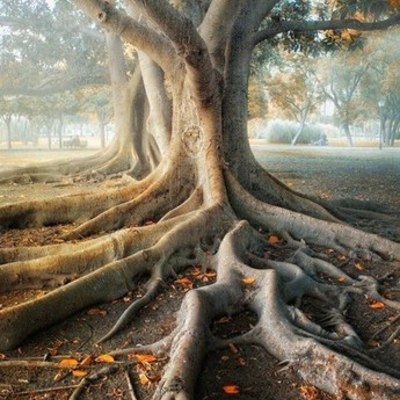 Timeline: Педагогіка 20 століття