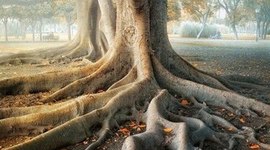 Timeline: Педагогіка 20 століття