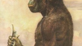 Timeline: australopithecus africanus y afarensis