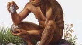 Timeline: Homo habilis