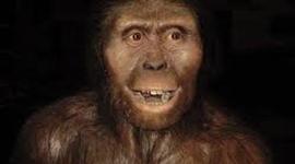 Timeline: Evolución