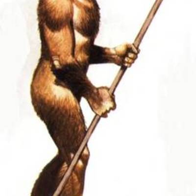 Timeline: HOMO ERECTUS