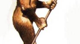 Timeline: HOMO ERECTUS