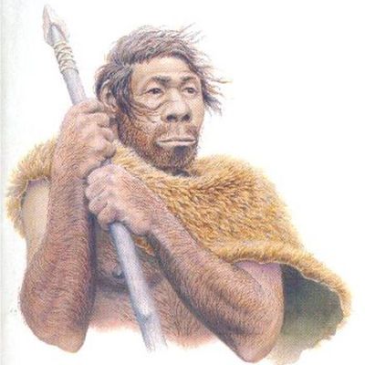 Timeline: HOMO NEANDERTHALESIS
