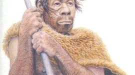 Timeline: HOMO NEANDERTHALESIS