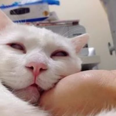 Timeline: ЯНИЧЕГОНЕЗНАЮПОМОГИТЕААААААААА