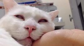 Timeline: ЯНИЧЕГОНЕЗНАЮПОМОГИТЕААААААААА