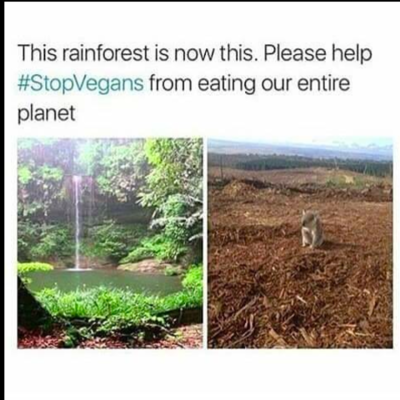 Timeline: EU tidslinje