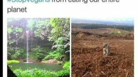 Timeline: EU tidslinje