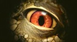 Timeline: time line project