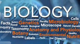 Timeline: Biology Time Line