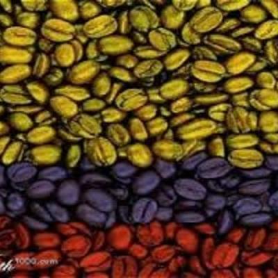 Timeline: Industria Gráfica en Colombia siglo XX