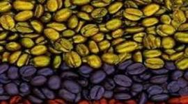 Timeline: Industria Gráfica en Colombia siglo XX