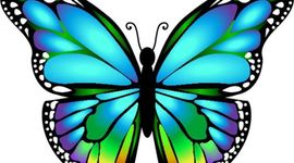 Timeline: Chrysanthis' life