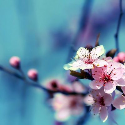 Timeline: The story of my life