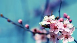 Timeline: The story of my life