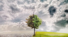 Timeline: Κλιματική Αλλαγή. Ο πλανήτης θα αντέξει. Εσύ;