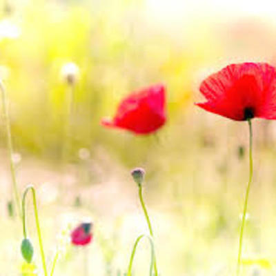 Timeline: It's just the beginning....